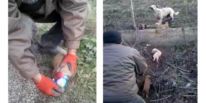 Havlayan köpeğin peşinden giden sürücüler gözlerine inanamadı