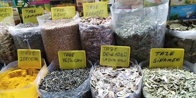 Mevsimsel hastalıkların ilacı 'zencefil'