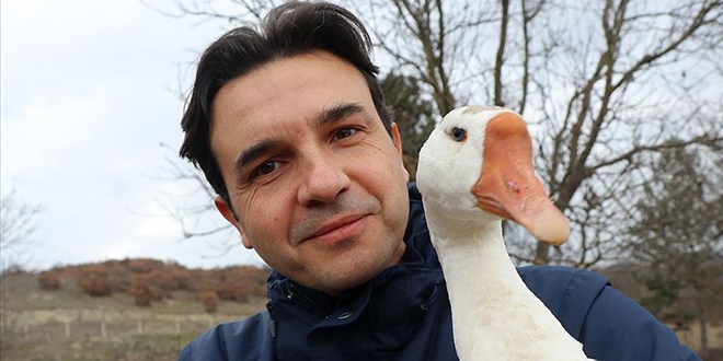 Müteahhit, kaz yetiştiricisi oldu