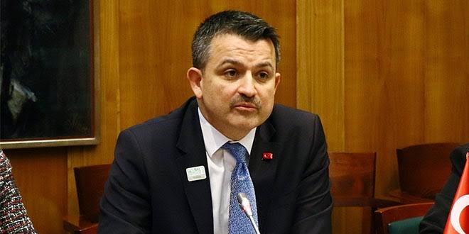 Bakan Pakdemirli'den köpek katliamına ilişkin açıklama