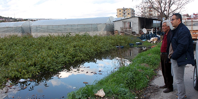 Mersin'de tarla ve seraları su bastı, üretici tahliye mesaisine başladı