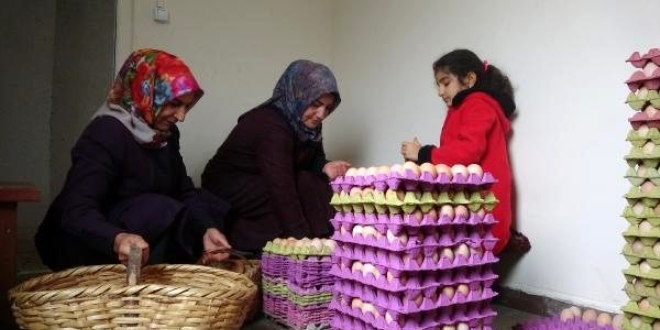 Kızı için başladı, 10 bin tavuklu çiftlik kurdu