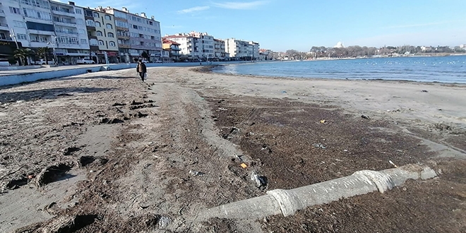 Deniz 30 metre çekildi, ilk kez görenler paniğe kapıldı