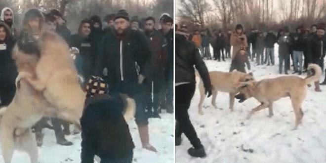 Skandal görüntülerin ardından 17 kişiye ceza yağdı