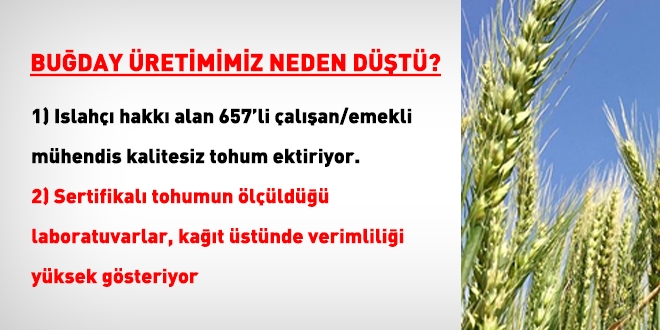 Buğday üretiminde büyük oyun!