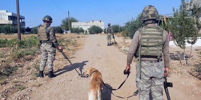 Bombal arala saldr: 4 askerimiz ehit oldu