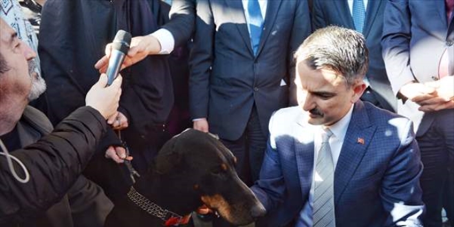 Görme yetisini kaybeden köpeğe Bakan Pakdemirli sahip çıktı