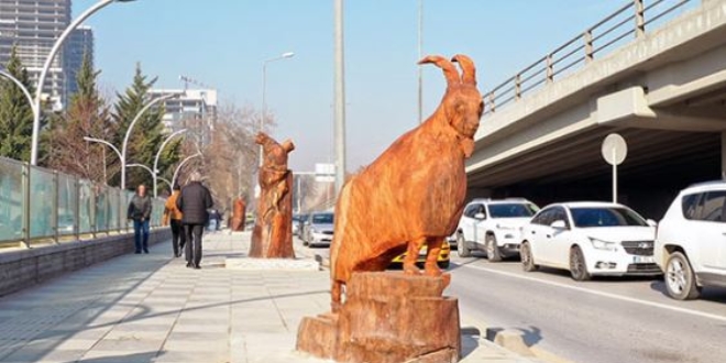 Başkentte kuru ağaçlar sanat eserine dönüşüyor