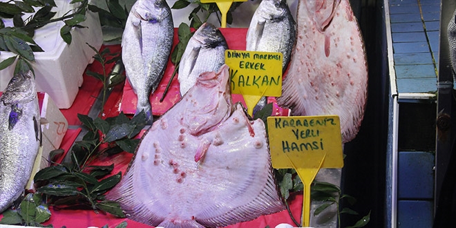 Kalkan balığının fiyatı dudak uçuklatıyor
