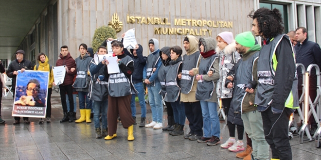 Hayvanseverler fayton konusunda 'net ve kapsamlı' açıklama bekliyor