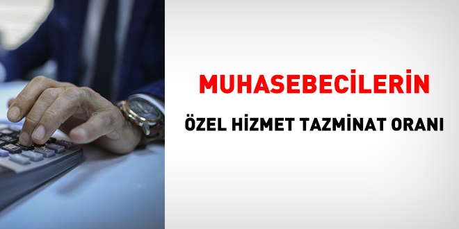 Muhasebecilerin özel hizmet oranı ne kadardır?