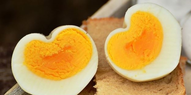 Günde bir yumurta kalp hastalığı riskini artırmıyor