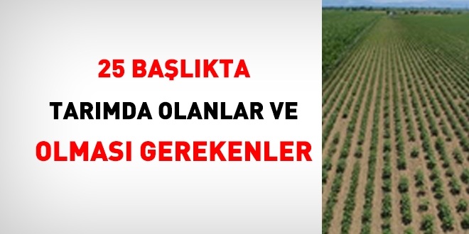 25 başlıkta, tarımda olanlar ile olması gerekenler!