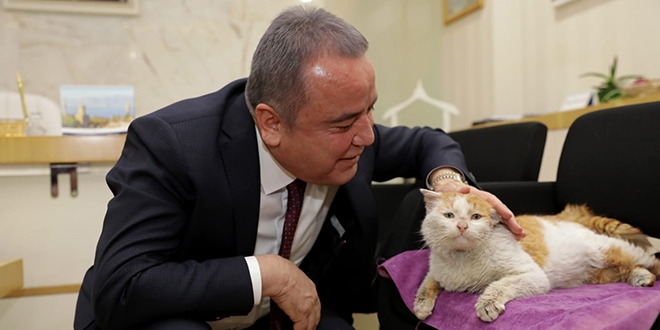 Enkaz altından çıkarılan kedi için twitter hesabı açıldı