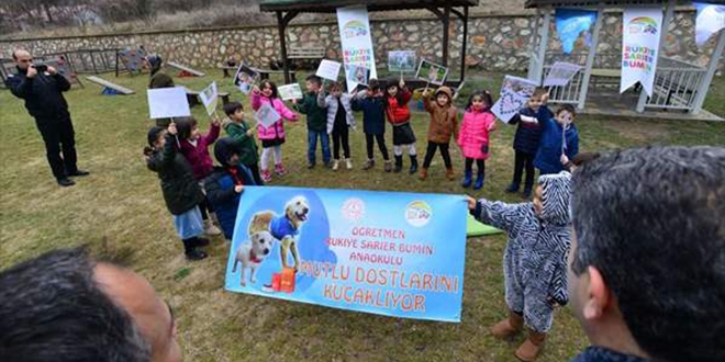 Okullar terk edilen sokak hayvanlarına 'yuva' oldu
