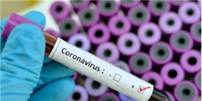 in'den gelen rnlerden 'koronavirs' bular m?