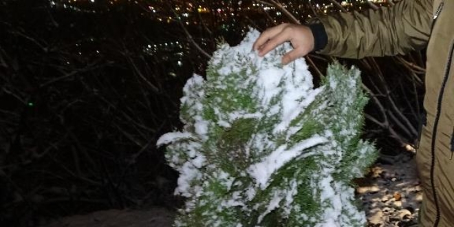 Bursa'da yüksek kesimlere yağan kar şehir merkezine yine uğramadı