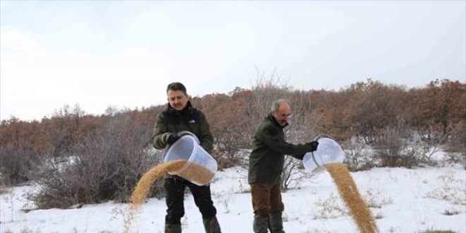 Bakan Pakdemirli yaban hayvanlarını yemledi