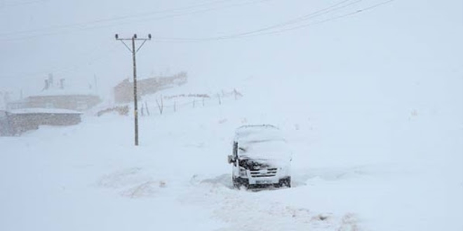 Van'ın Çatak ilçesinde iki köye daha çığ düştü