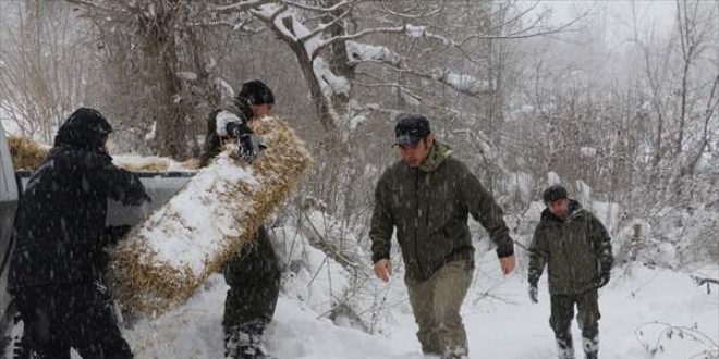Bolu Dağı'na yılkı atları için yem bırakıldı
