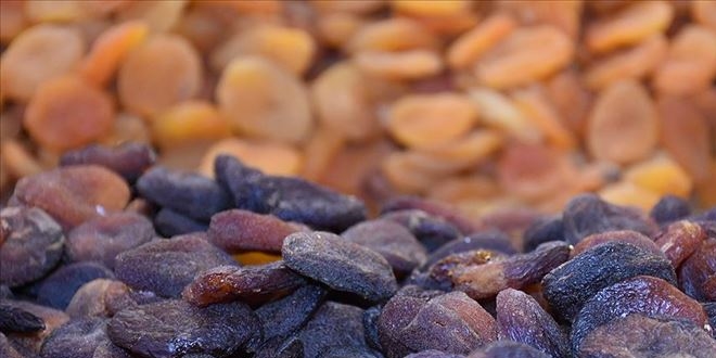 Avrupalı tüketicinin ilgisi kuru kayısı ihracatını artırdı