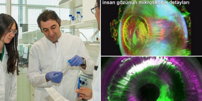 Türk bilim insanı, organların üç boyutlu haritasını çıkardı