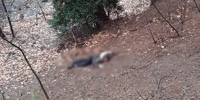 Kumalığı kabul etmeyen kadının başını taşla ezerek öldürdü