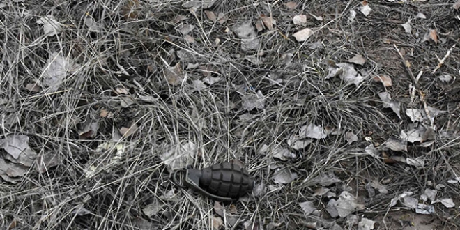 Baraj kıyısında patlamamış 3 adet el bombası bulundu