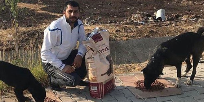 Maaşının bir bölümünü sokak hayvanlarına harcıyor