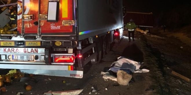Su ısıtmaya çalışan TIR şoförü başka bir TIR'a çarptı: 2 ölü 1 yaralı