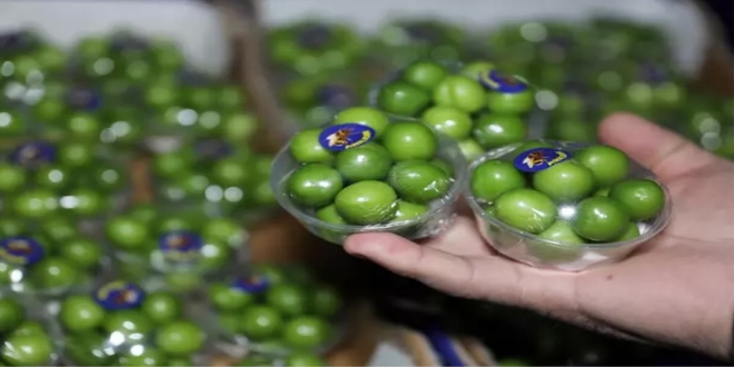 Yeşil eriğin kilosu 750 lira!