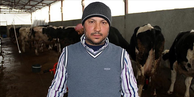 Suriyeli veteriner anlurfa'da st reticisi oldu