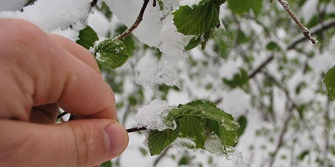 Meteoroloji'den 9 il iin kar ya ve zirai don uyars