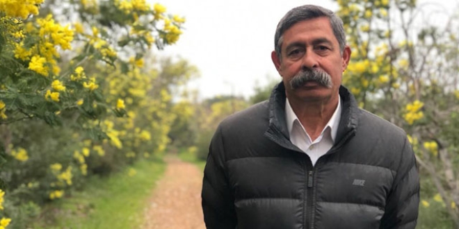 Adalar halkından mimoza hırsızlığına tepki