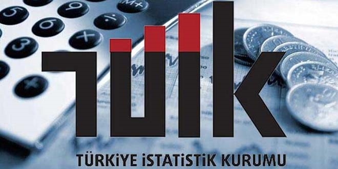 TÜİK yüz yüze görüşme anketlerini geçici olarak durdurdu
