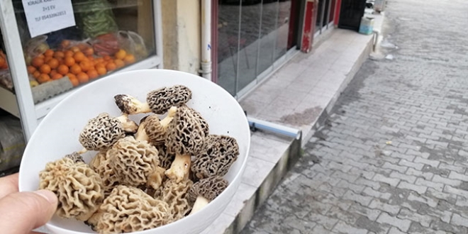 Kilosu 130 TL... Tezgahta yarım saatte tükeniyor