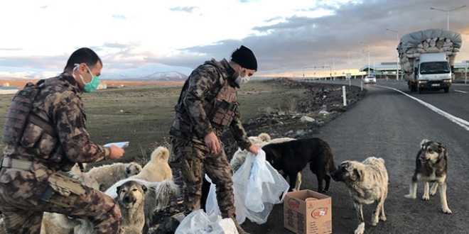Polisler, yiyeceklerini sokak köpekleri ile paylaştı