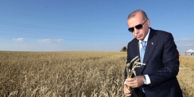 AK Parti İl Başkanı istedi, Erdoğan çözüme kavuşturdu