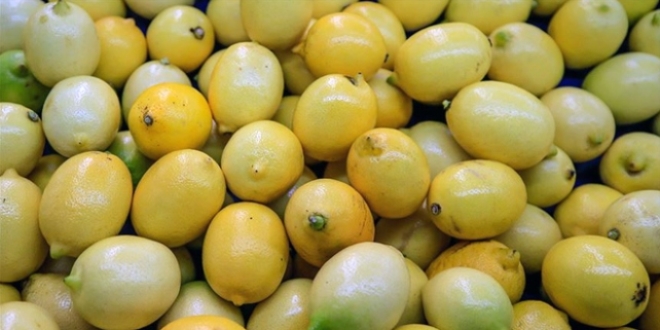 Limon ihracatı ön izne bağlandı