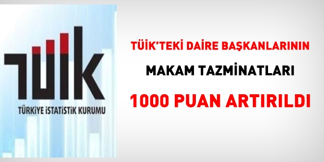 TÜİK'teki daire başkanlarının makam tazminatı artırıldı