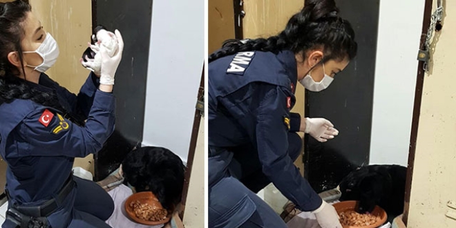 Astsubay, tedavi ettiği köpeğin doğumunu da yaptırdı
