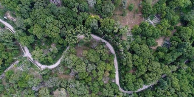 Koramaz Vadisi UNESCO Dünya Mirası Listesi'ne girdi