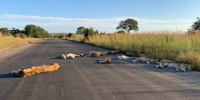 Koronalı günlerde yollar onlara kaldı