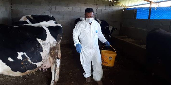 Koronavirüs hastası yaşlı çiftin hayvanlarına özenle bakılıyor