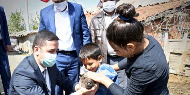 Koyunları telef olan aileye belediye 20 koyun verdi
