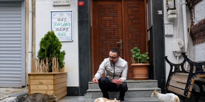 Salgında yiyecek bulamayan kedi ve martılara imam sahip çıktı