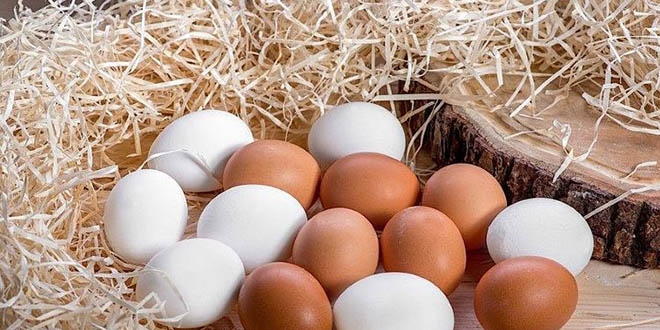 Yumurta tüketimi 'karantina' etkisiyle arttı