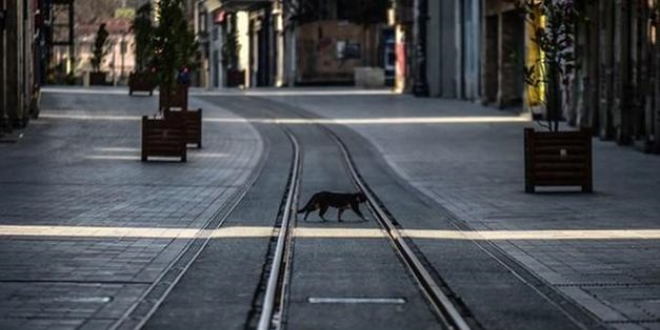 24 ildeki sokağa çıkma kısıtlaması başladı. Çiçekçilere izin var