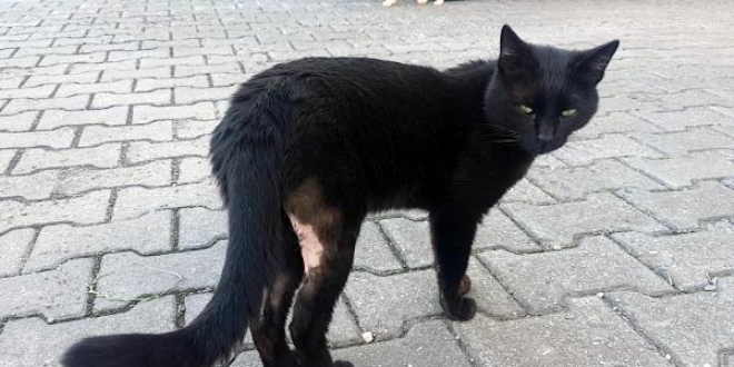 Emekli öğretmenden örnek davranış