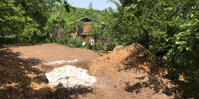 Düzce'de 8 bin tavuk sıcak hava nedeniyle telef oldu